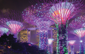 Lighting equipment and projects