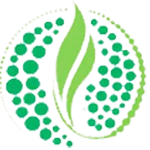 شهرداری قائمیه